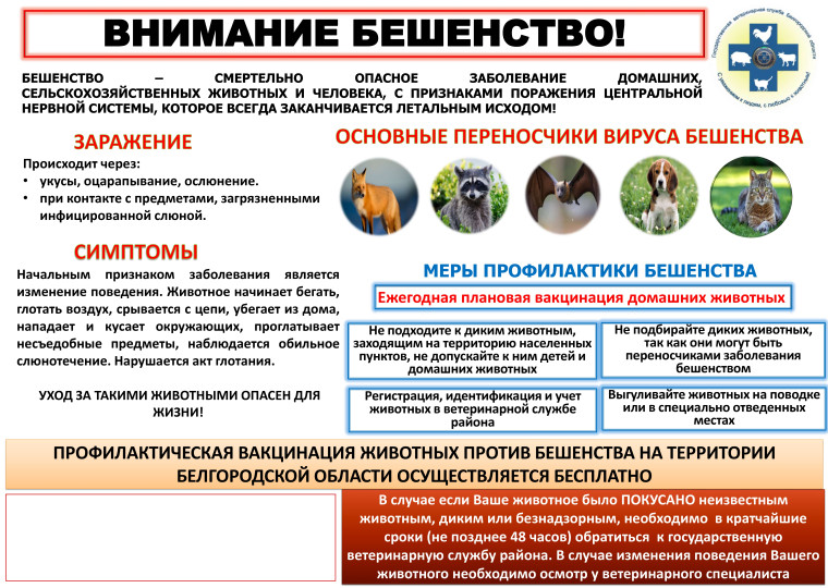 Беженство животных. Беженство животных.
