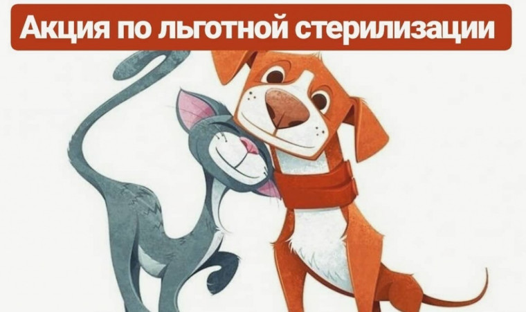 Льготная стерилизация (кастрация) домашних животных. Льготная стерилизация (кастрация) домашних животных.