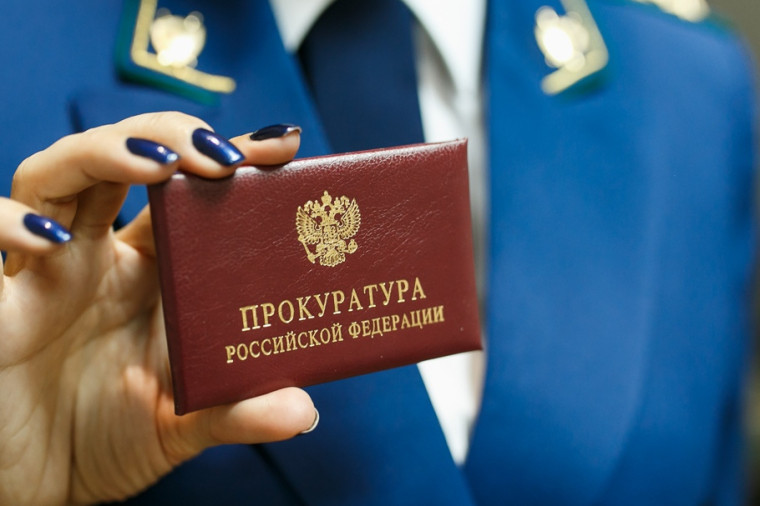 Проверка прокуратуры. Проверка прокуратуры.